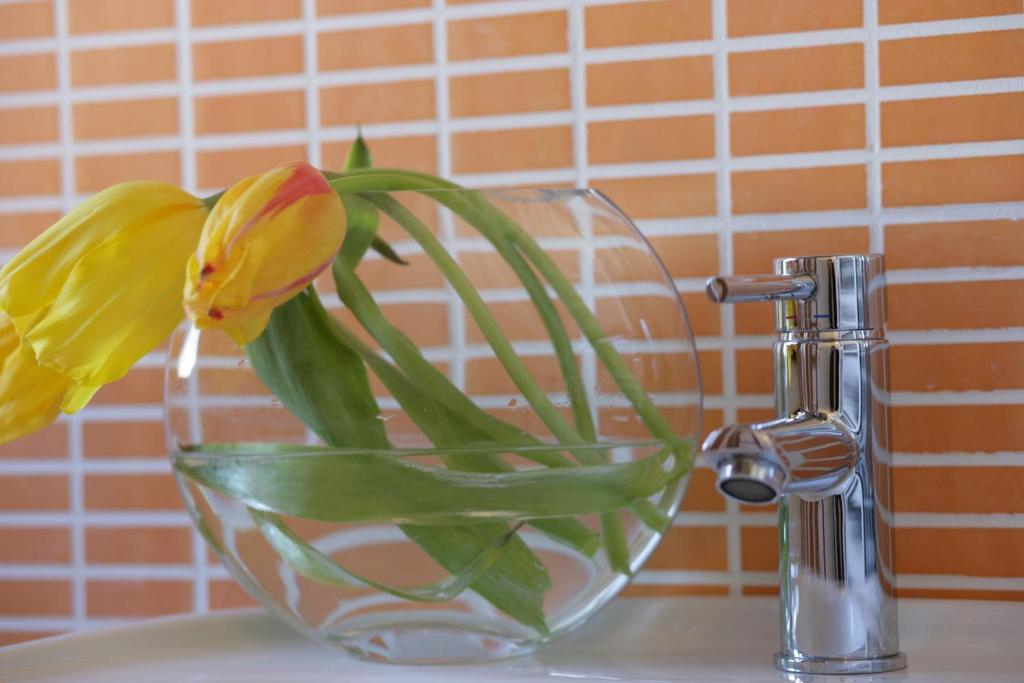 I Colori Del Vento B&B Valderice Luaran gambar